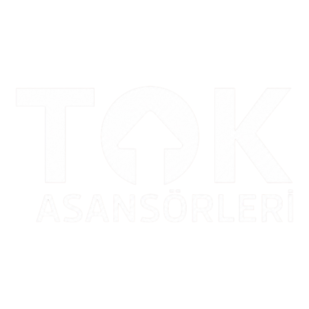 TOK Logo